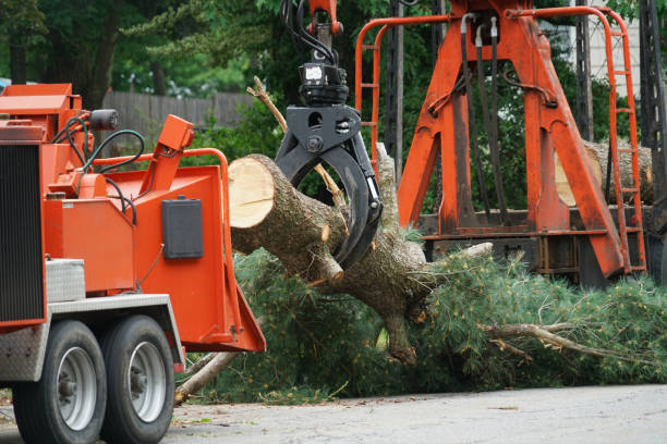 Seasonal Cleanup (Spring/Fall) in Auburn, ME